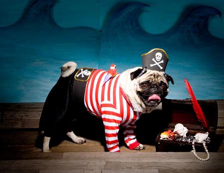 Disfraz para perro de pirata
